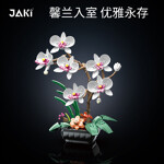 JAKI 29012 Botanical Phalaenopsis Potted Plant