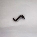 Animal Body Part / Plant, Tail  / Trunk / Tentacle / Tongue / Vine / Tree Branch (Short Tip) #43892 - 308-Dark Brown