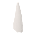 Animal Body Part, Barb / Claw / Tooth / Talon / Horn, Large #11089 - 1-White