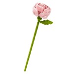 JAKI JK8135 Teddy Pink Bear Pink Roses