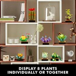 Custom 92192 Succulent Plants