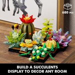 Custom 92192 Succulent Plants