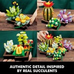 Custom 92192 Succulent Plants