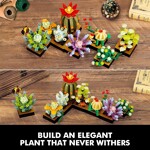 Custom 92192 Succulent Plants