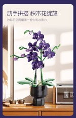 JIE STAR JJ9235 Purple Orchid