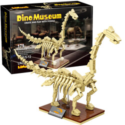 LiNOOS LN7007 Dinosaur Museum: Dragon Skeleton