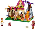 Lego 41074 Elves: Assari and The Magic Baking House