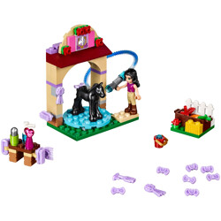Lego 41123 Pony Shower Room