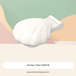 Animal, Clam #30218 - 1-White
