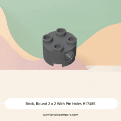 Brick, Round 2 x 2 With Pin Holes #17485 - 199-Dark Bluish Gray
