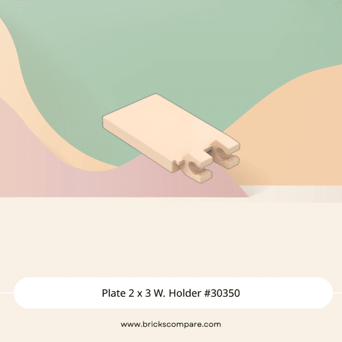 Plate 2 x 3 W. Holder #30350 - 283-Light Flesh