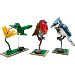 Lego 21301 Bird