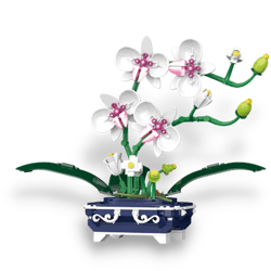 ZHEGAO QL00388 Orchid Potted