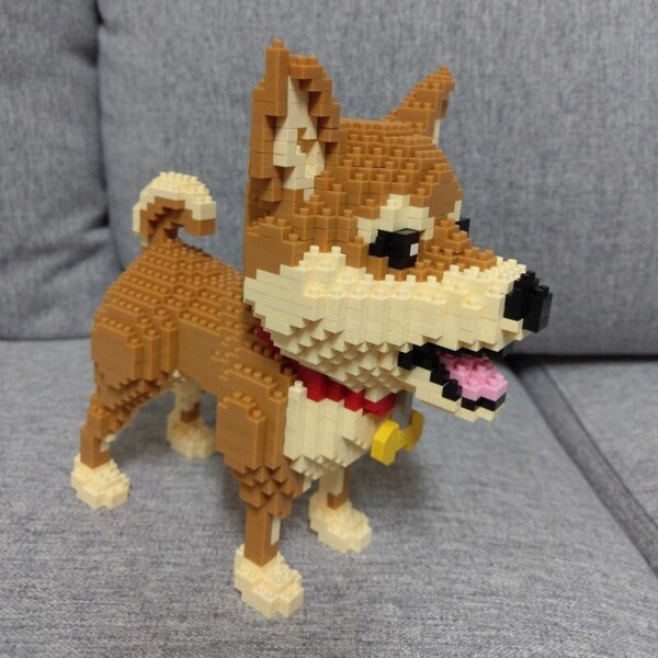 Babu 8805 Shiba