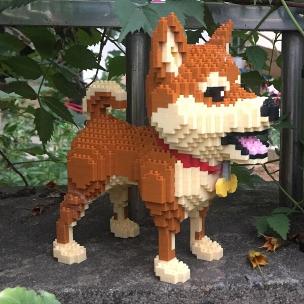 Babu 8805 Shiba