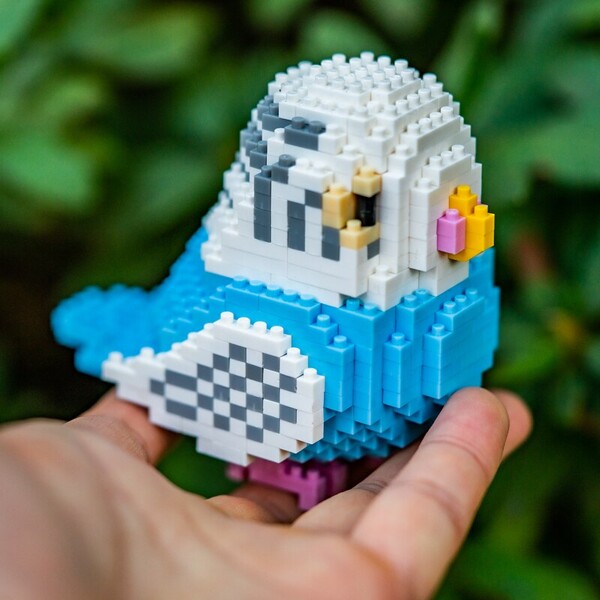 SC 8809-1 Animal World Blue Parrot Fly Bird Budgerigar 3D