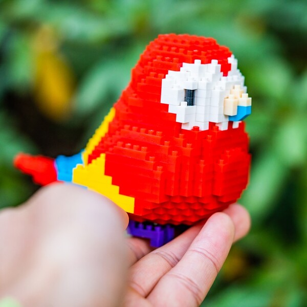 SC 8809-3 Animal World Red Parrot Fly Bird Parakeet 3D