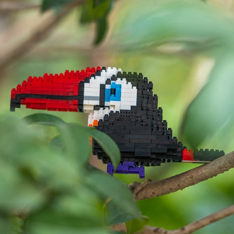 SC 8809-7 Animal World Red Toucan Fly Bird Parrot 3D