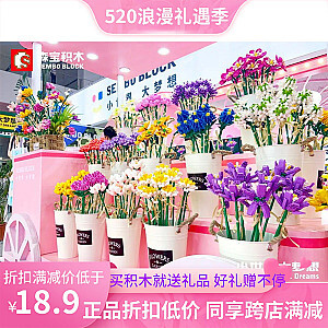 SEMBO 601234-A-C Building Block Flower Shop: 3 Types of White Three Grasses Creator