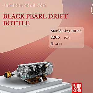 MOULD KING 10065 Creator Expert Black Pearl Drift Bottle