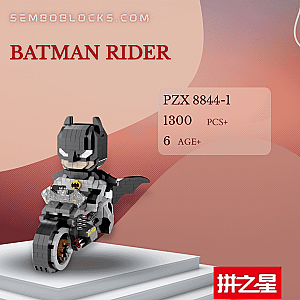PZX 8844-1 Creator Expert Batman Rider