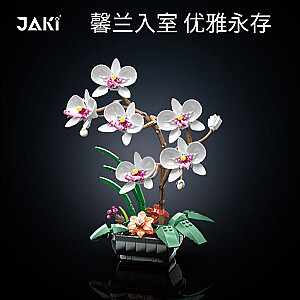 JAKI 29012 City Botanical Phalaenopsis Potted Plant